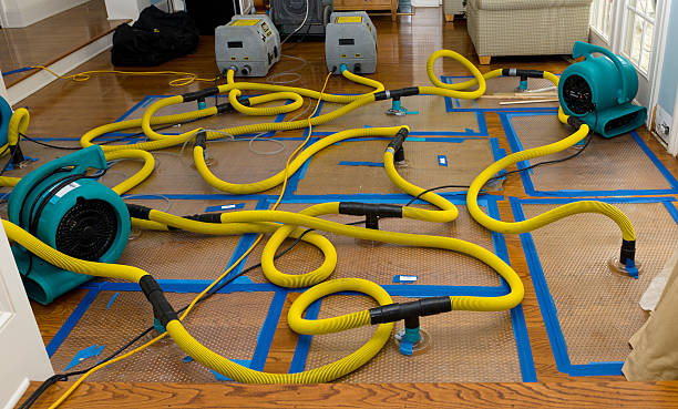 Professional Water Extraction technician working in North Springfield, VA